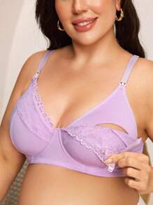 Viola malva