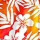 Multicolore