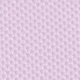 Viola malva