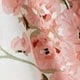 Dusty Pink