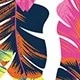 Multicolor