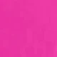 Rosa Fucsia