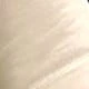 Albaricoque