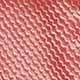 Rose bonbon