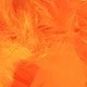 Laranja