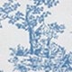 Blue and White