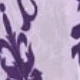 Viola malva