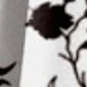 Bianco e nero