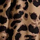 Coffee Brown