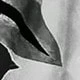 Black and White