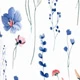 Blue and White