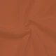 Coral Orange