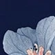 藏蓝色