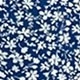 Bleu azur