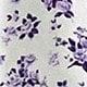 Viola malva
