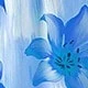 Bleu azur