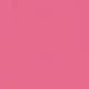 Pink Flamingo