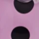 Rosa rosa