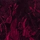 Rose Red
