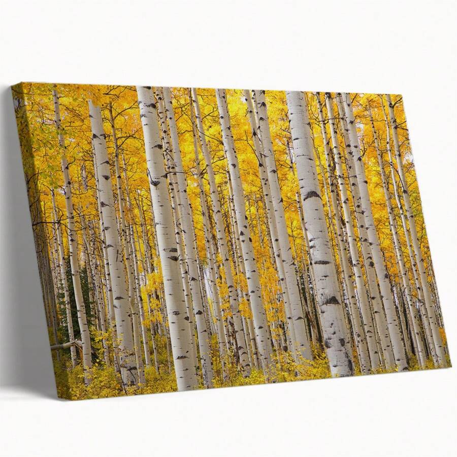 Aspen Trees In Colorado On A Beautiful Fall Day Poster Framed Wall Art - 1 Poster Artwork Canvas Print - Home Living Room Office Cafe Wall Decor, Perfect Gift And Home Decor, Ready To Hang