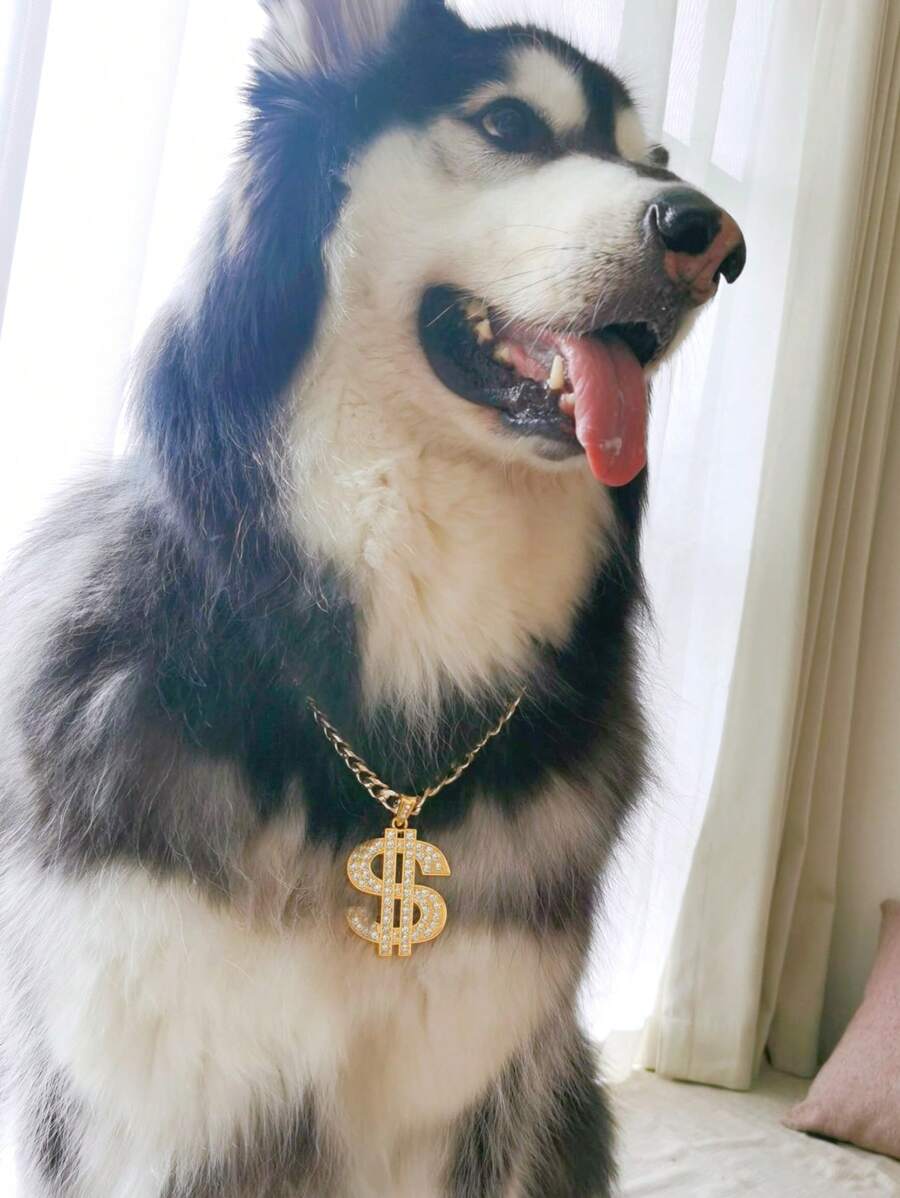 1pc Upgraded Super Sized Dollar Sign Pendant With Rhinestones, Sturdy Thick Gold Chain Necklace For Pets Such As Cats And Dogs, Flashy Chunky Chain, Hiphop Punk Decor For Bulldogs, Golden Retrievers, Labradors