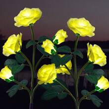 Rose Light (Yellow)