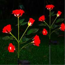 Rose Light(Red)