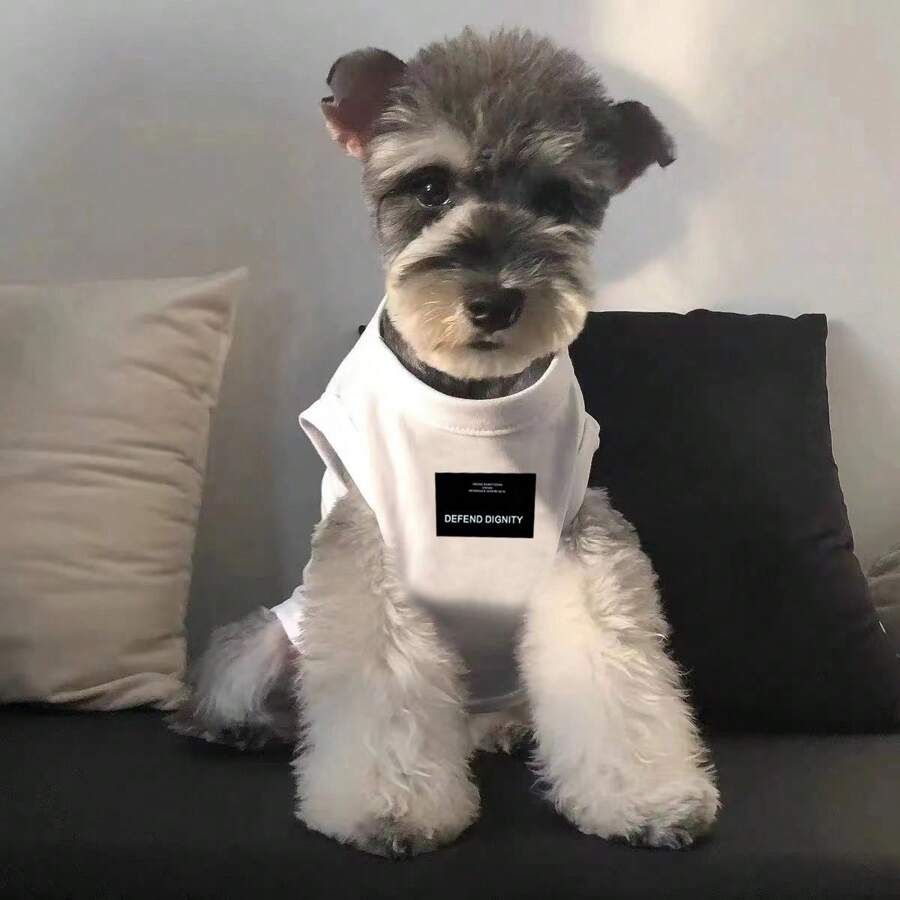 1pc Pet Spring/Summer Personalized Vest, Dog/Cat Breed English Print Cool Pet Top, Lightweight Anti-Sweat, Suitable For Schnauzer, Teddy, Pomeranian, Maine Coon, Tabby Etc. Medium/Small Cats & Dogs