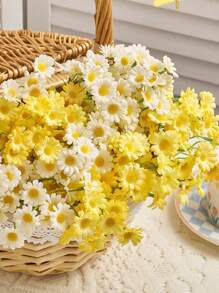 Small Yellow Daisy