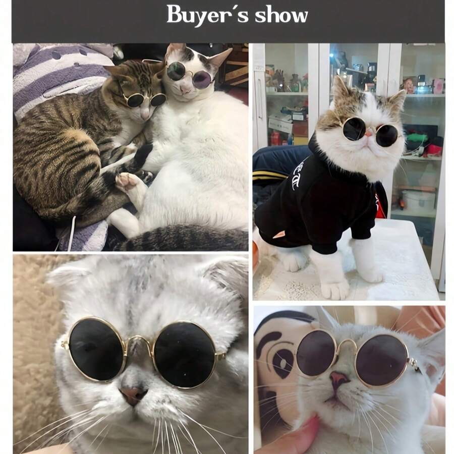 Dreamy Pet Fashion Glasses - Interesting And Stylish Round Frame Accessory Suitable For Cats And Dogs, Especially Fits Teddy Dogs, Unique Animal Fashion Statement, Adorable Pet Accessory