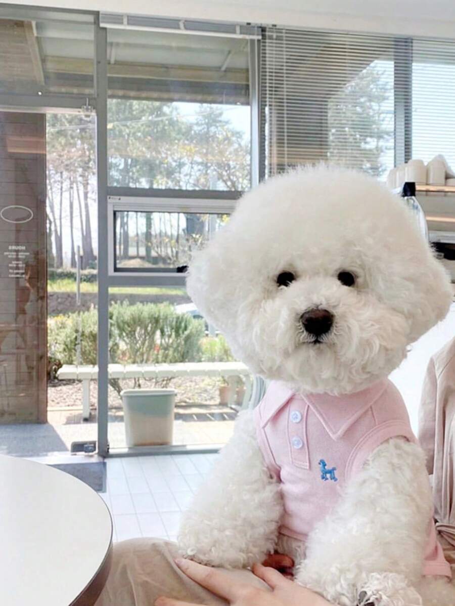 Pet Vest, Solid Color Polo Shirt For Spring/Summer, Thin Breathable T-Shirt For Small Dogs, Cat Vest, Comfortable & Breathable Pet Clothing For Daily Indoor/Outdoor Wear, Great Gift For Pets