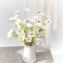 White Daisy