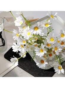 White Daisy