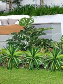 18 Large Brazilian Wood-4