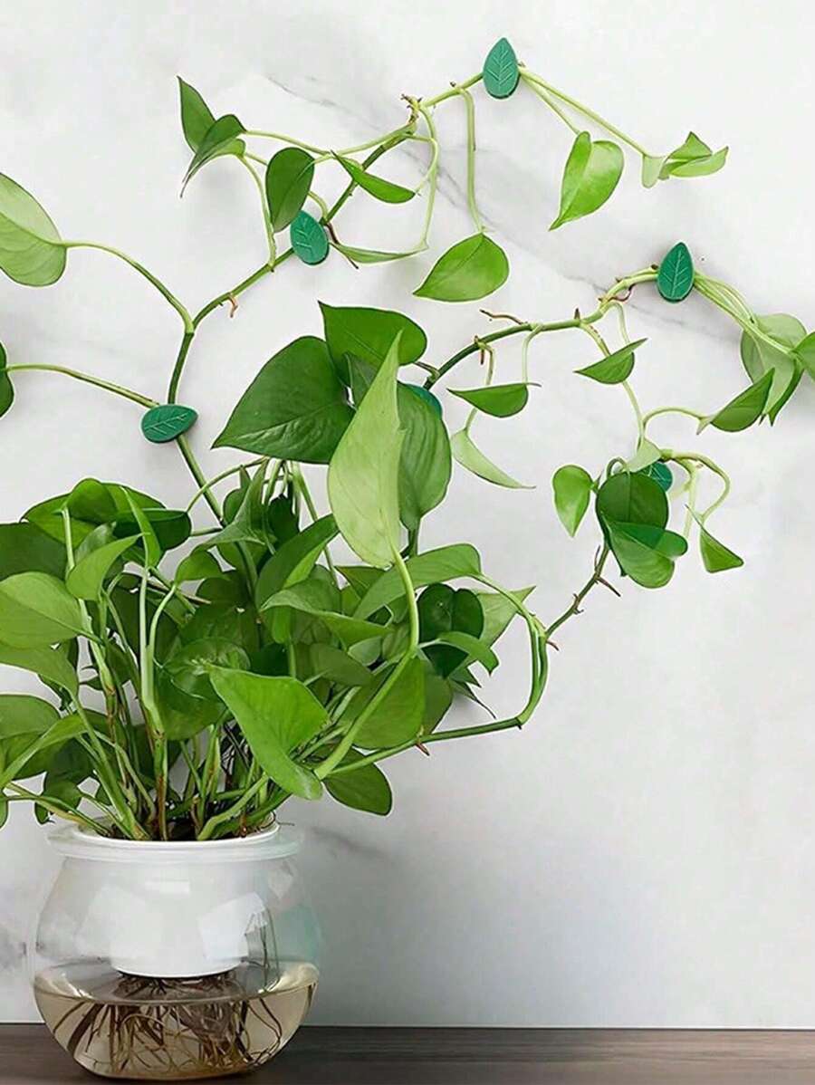 10/20 Stücke selbstklebende befestigte Schnallen-Haken zum Klettern von Pflanzen an der Wand, Befestigungs-Kletterseil Schnallenhaken, Gartenkletterpflanzen Wandklipp