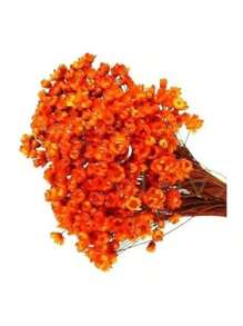 Laranja