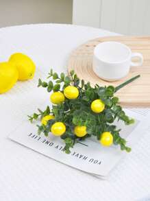Eucalyptus Lemon-