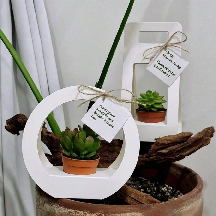 1 pieza Caja de regalo con plantas verdes y flores de color beige, Caja de regalo con planta en maceta blanca, Bolsa plegable de color rosa, Arreglo floral de rosa y clavel como empaque de regalo