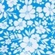 Blue and White