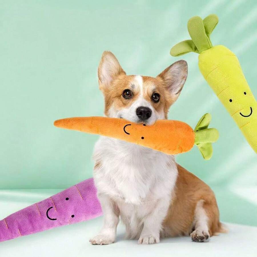 Piccolo giocattolo di peluche per animali domestici, come gatti, cani e cincillà, vocale e interattivo, morbido e da masticare per la cura dentale, come compagno e distrazione