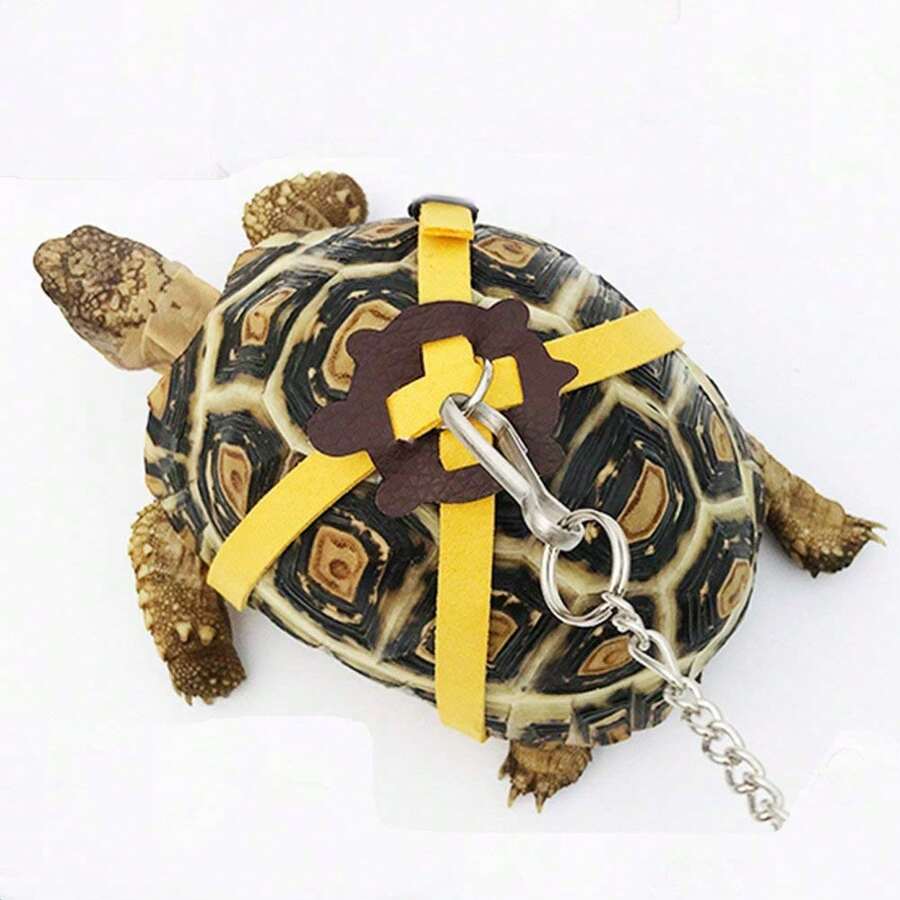 1pc Turtle/Tortoise Pet Leash For Going Out, Suitable For Turtles, Terrapins, Tortoises