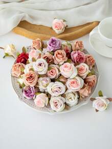 Multicolor-rose