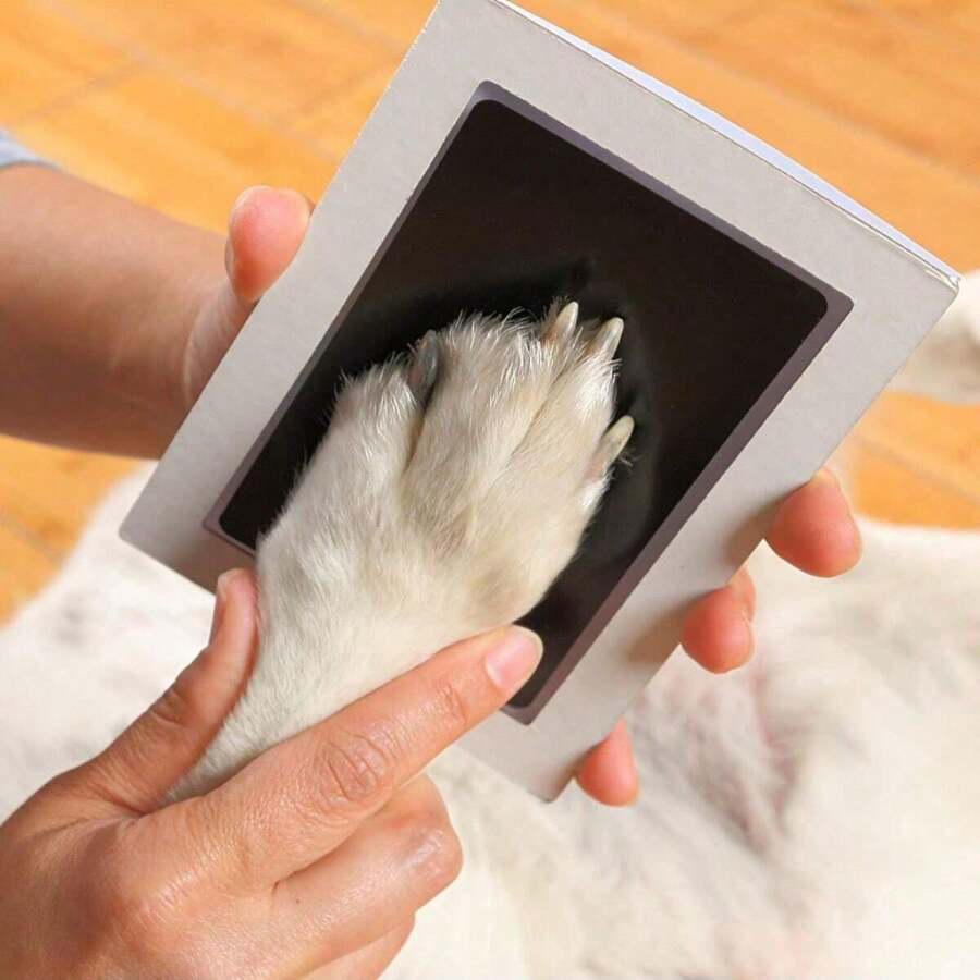 Pet Paw Print Kit With 1 Ink Pad And 2 Stamp Cards, Halloween, Thanksgiving And Christmas Gifts, Memorable Keepsake To Record Growth