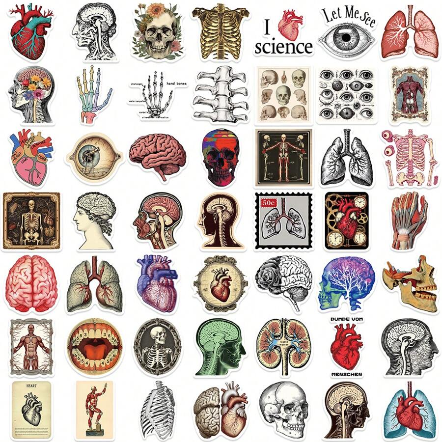 Adesivos de anatomia com 50 peças, adesivos científicos, adesivos estéticos, adesivos para diário, suprimentos para scrapbook, adesivos de vinil à prova d'água, pacote de adesivos estéticos para laptop, adesivos de skate, adesivos para garrafas d'água, adesivos para caderno