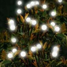 10LED-white Light
