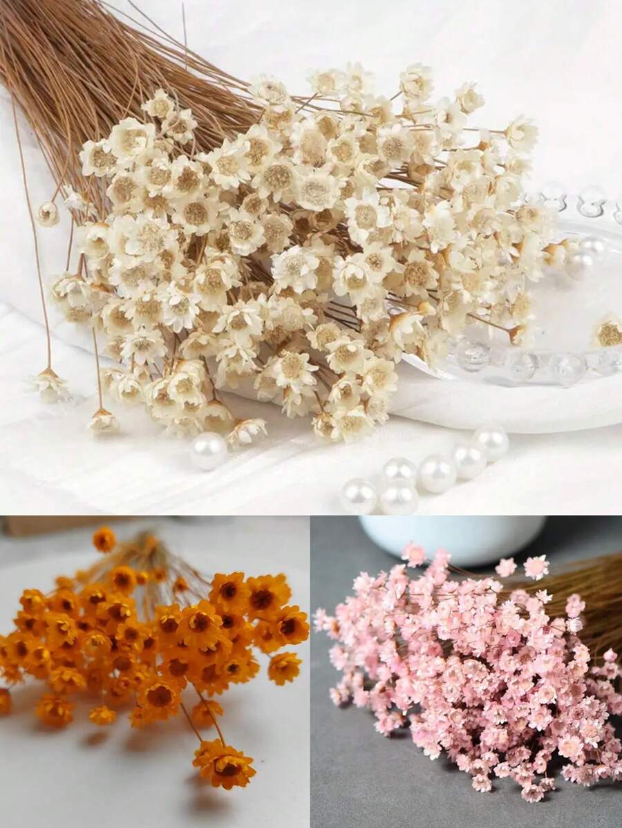 30/60/100/200 pezzi Mini margherite brasiliane essiccate, decorazioni adatte per composizioni floreali da matrimonio, decorazioni per la casa, regali di San Valentino, colori rosa, corallo chiaro, stile rustico, decorazioni naturali a base di erbe, decorazioni autunnali