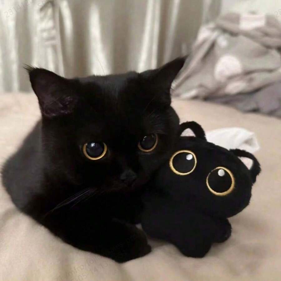 1pc Cute Black Cat Plush Doll, Durable Chew Doll For Cats To Self Play And Relieve Boredom, Pet Teeth Cleaning Doll With Sound