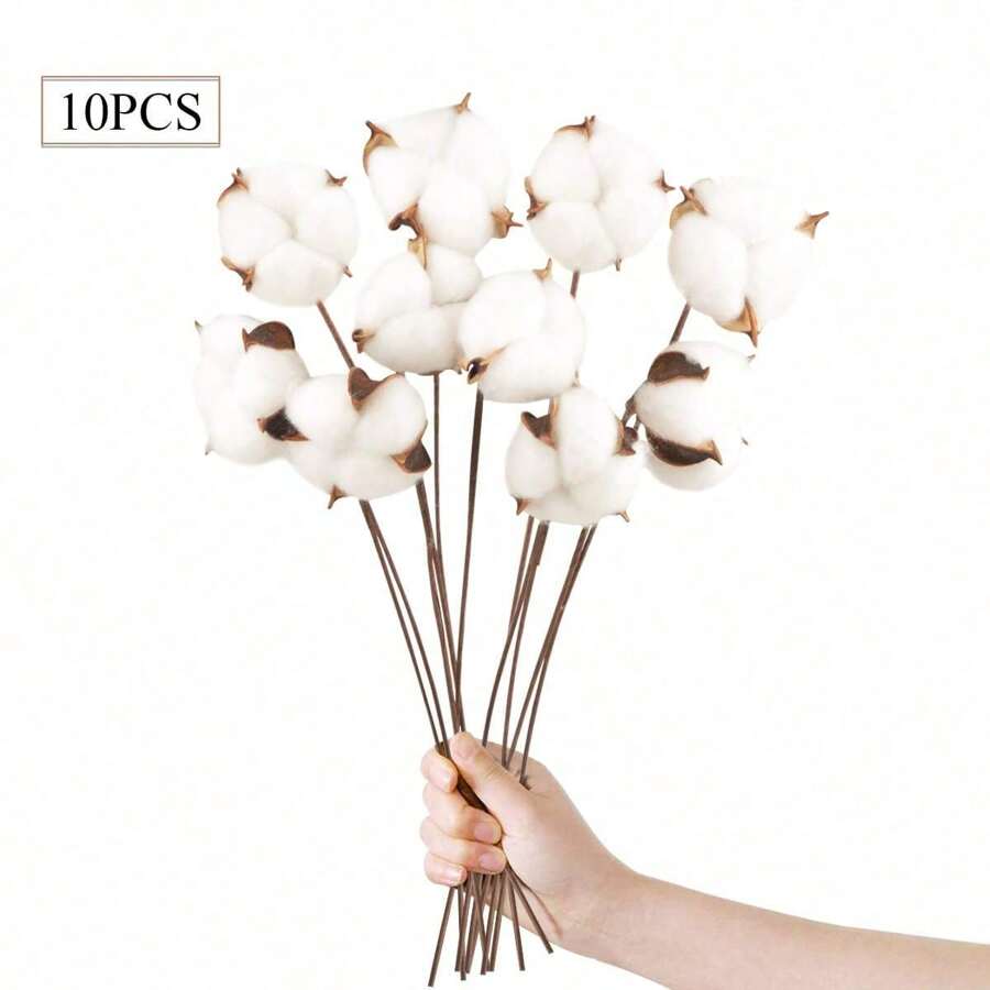 Confezione da 10 fiori di cotone naturali secchi fiori secchi stelo cotone fiore naturale rami finti cotone piante finte decorazione per balcone tavolo di casa composizione floreale