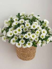 Blanc