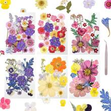 Vivid Color
